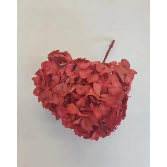 Geconserveerde hortensia (hydrangea) rood +/-15cm