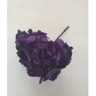Hortensia stabilise (hydrangea) sweet violet +/-15cm