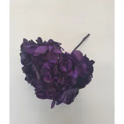 Hortensia stabilise (hydrangea) sweet violet +/-15cm