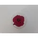 Rose stabilisee (medium open) +/-4.5cm bordeaux 8pcs