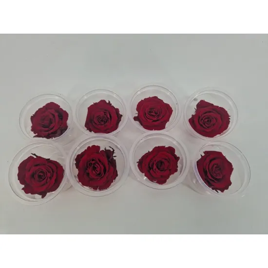Rose stabilisee (medium open) +/-4.5cm bordeaux 8pcs