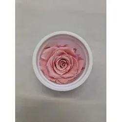 Preserved rose (medium open) +/- 4.5cm light pink 8pcs