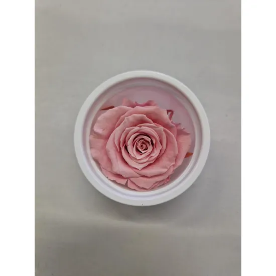 Preserved rose (medium open) +/- 4.5cm light pink 8pcs