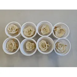 Preserved rose (medium open) +/- 4.5cm white 8pcs
