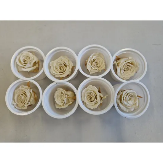 Rose stabilisee (medium open) +/-4.5cm blanc 8pcs