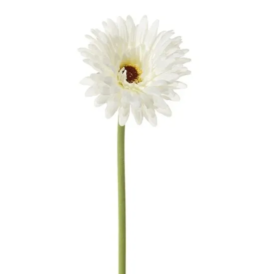 Gerbera 58cm white