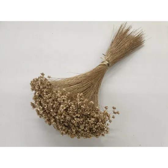 Glixia or +/-100gr