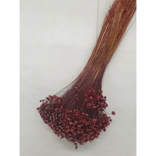 Glixia pruim +/-100gr
