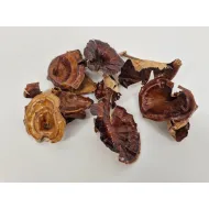 Golden mushroom medium naturel 10st