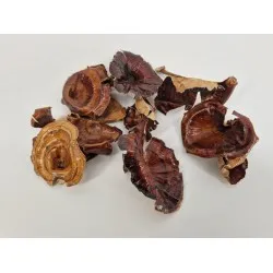 Golden mushroom medium natural 10pcs