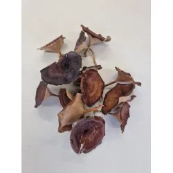 Golden mushroom medium naturel +/-250gr