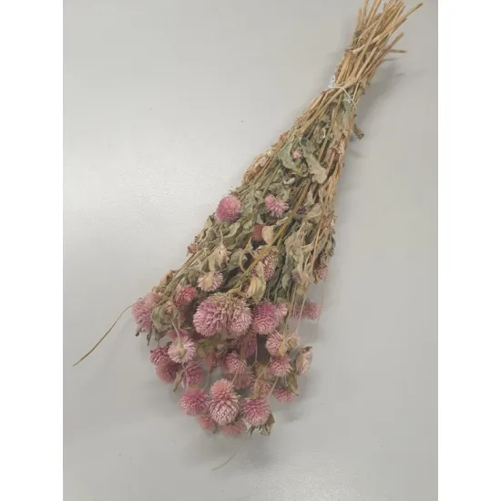 Gomphrena rose naturel +/-90gr