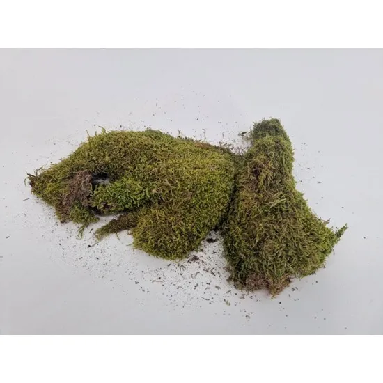 Groen mos (plat mos) +/- 1kg