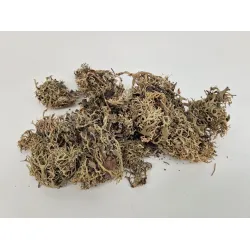 Grijs mos (litchen mos) +/-1kg