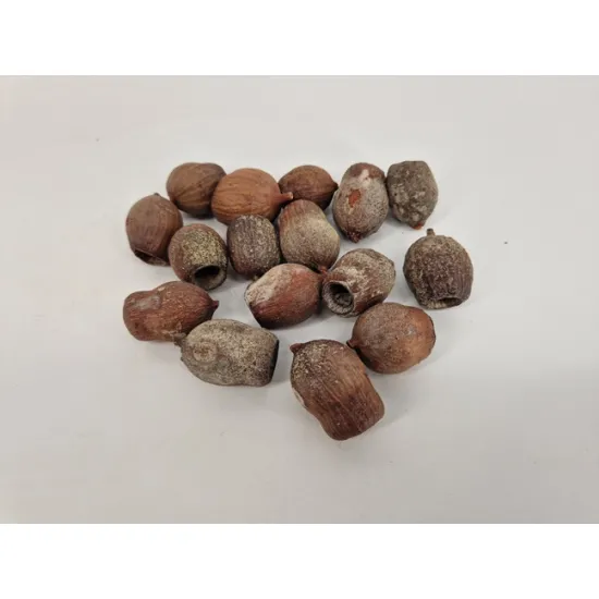 Gumbells natural +/-1kg