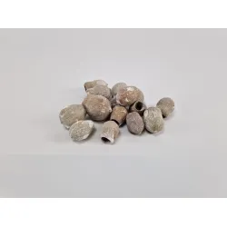 Gumbells white wash 1kg