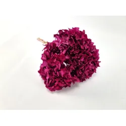 Hortensia stabilise (hydrangea) +/-15cm bordeaux 1pc
