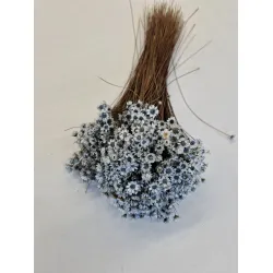 Glixia gris +/-100gr