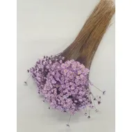 Glixia lilac +/-100gr