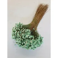 Glixia mint +/-100gr