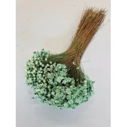 Glixia menthe +/-100gr