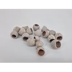 Gouri cup white wash +/-1kg