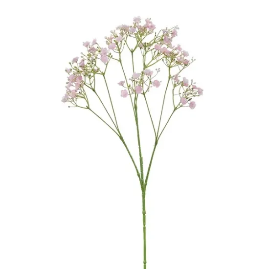 Gypsophila 70cm rose