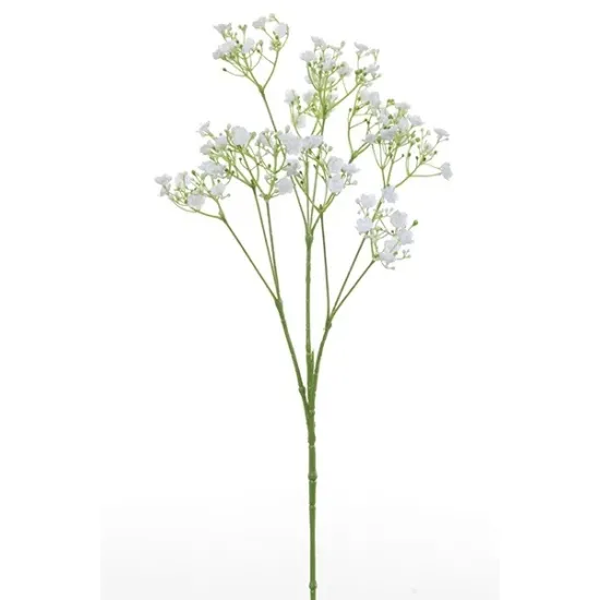Gypsophila 70cm white