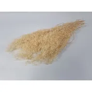 Gypsophila mini cream +/-100gr