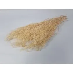 Gypsophila mini cream +/-100gr