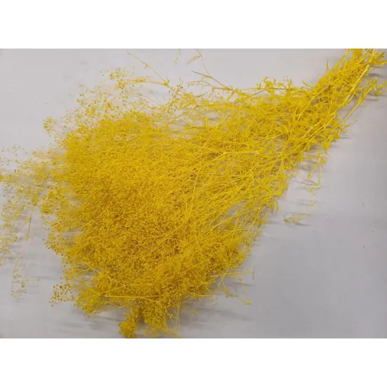 Gypsophila mini jaune +/-100gr