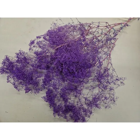 Gypsophila mini lila +/-100gr