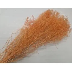 Gypsophila mini orange +/-100gr