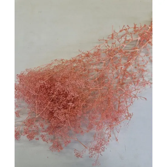 Gypsophila mini rose pastel +/-100gr