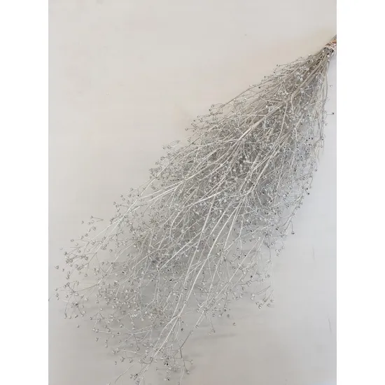 Gypsophila wild champagne