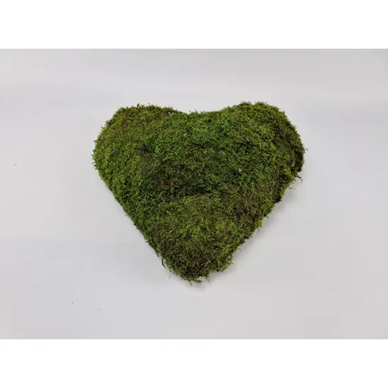Hart geconserveerd groen mos 40cm