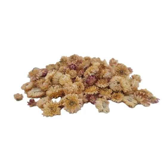 Helichrysum têtes creme/rose +/-100gr