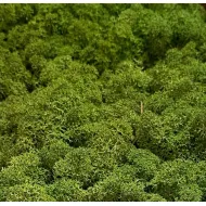 Mousse d'islande medium green 5kg