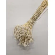 Hill flower gebleekt +/-150gr