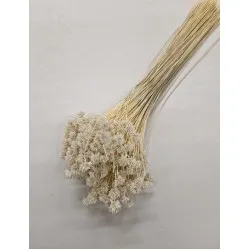 Hill flower gebleekt +/-150gr