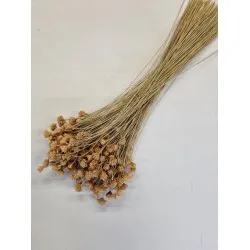 Hill flower naturel +/-150gr