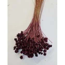 Hill flower prume +/-150gr