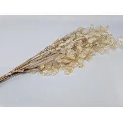 Honesty pealed natural +/-40gr