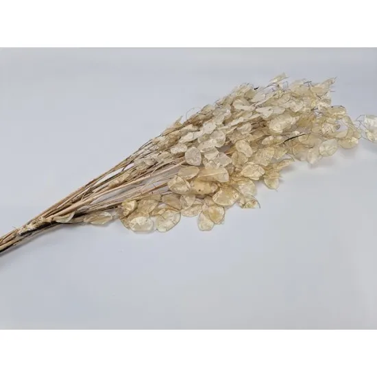 Honesty pealed natural +/-40gr