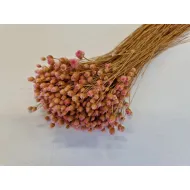 Jasilda light pink +/-100gr