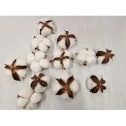 Cotton heads naturel 12pcs