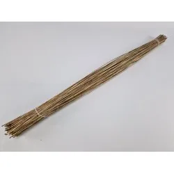 Koffieriet goud 80cm +/-1kg