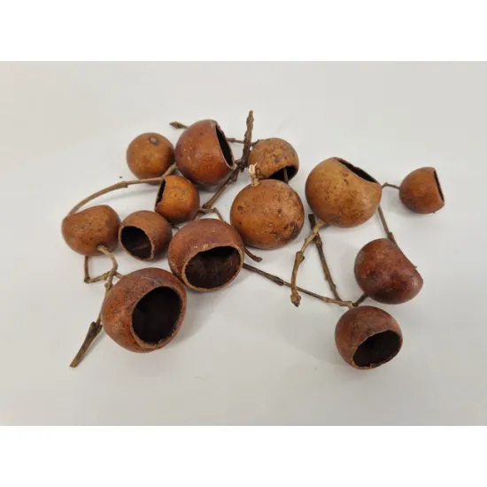 Kuruchi fruit natural 100pcs