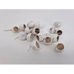 Kuruchi fruit white wash 15pcs