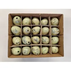 Oeufs de caille vert pastel 60pcs